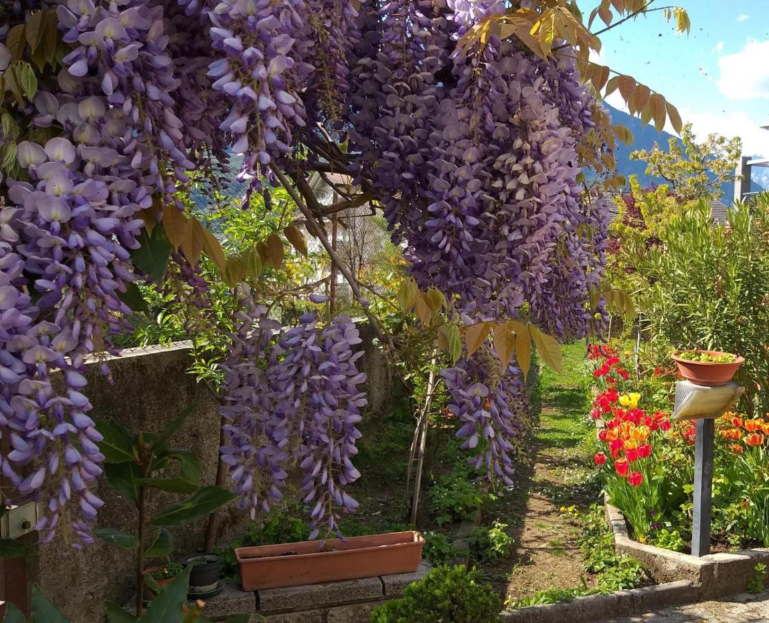 Appartment Lodged Mamma Maria Mattarello Esterno foto