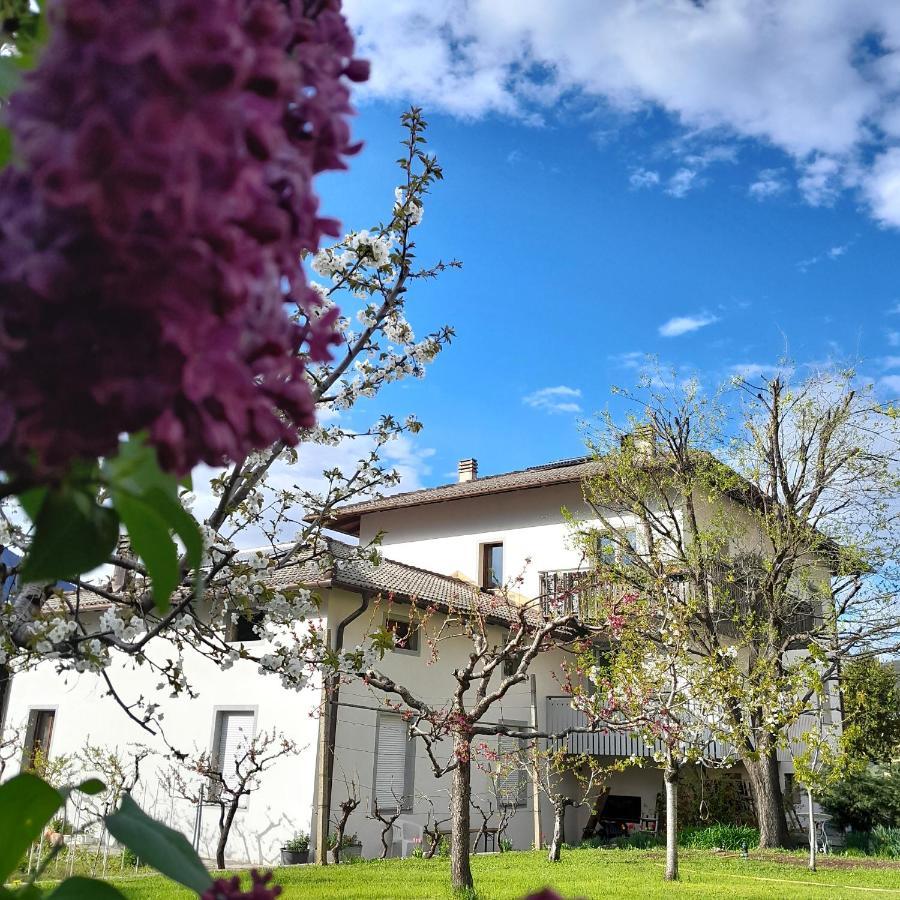 Appartment Lodged Mamma Maria Mattarello Esterno foto