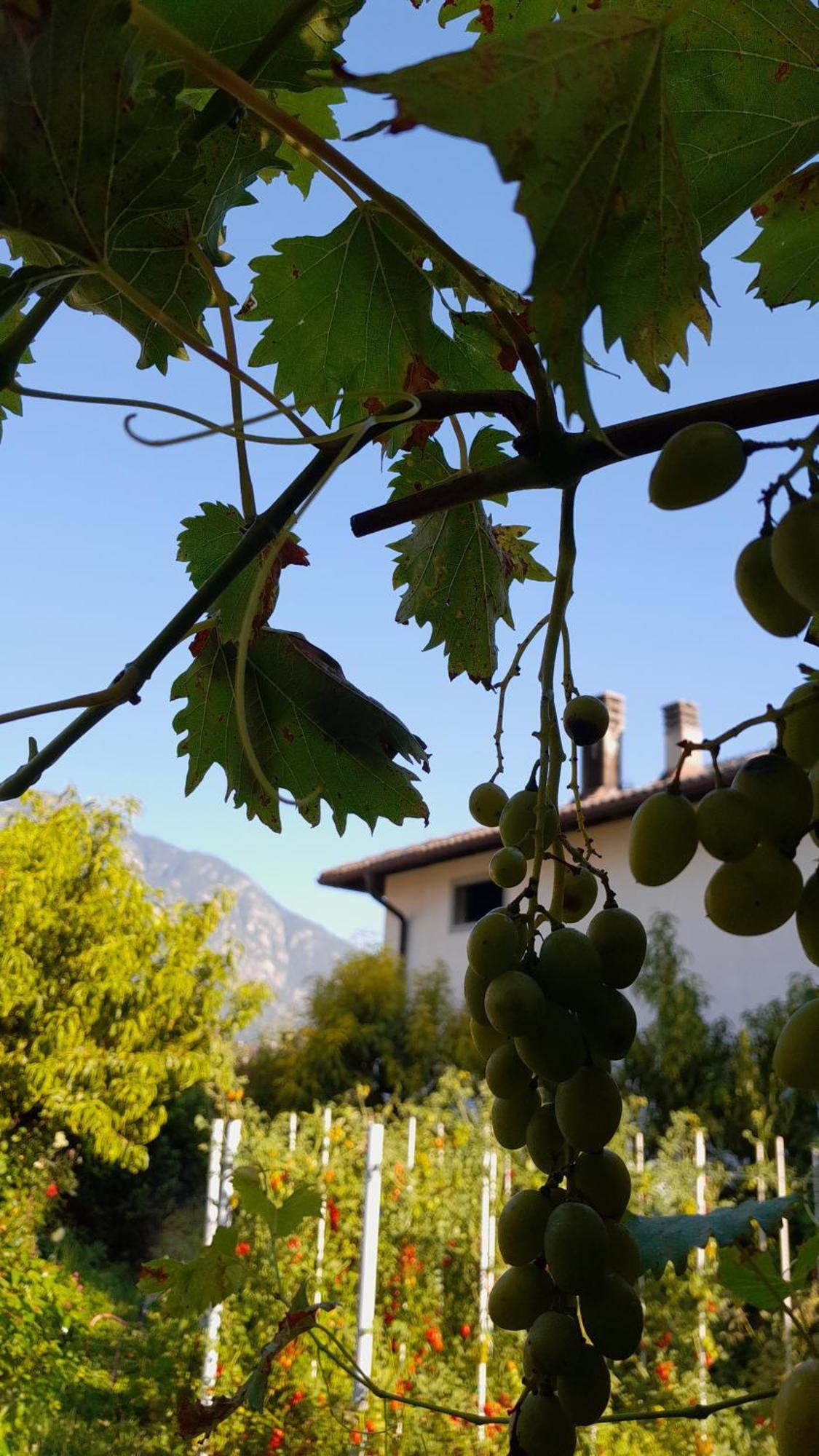 Appartment Lodged Mamma Maria Mattarello Esterno foto